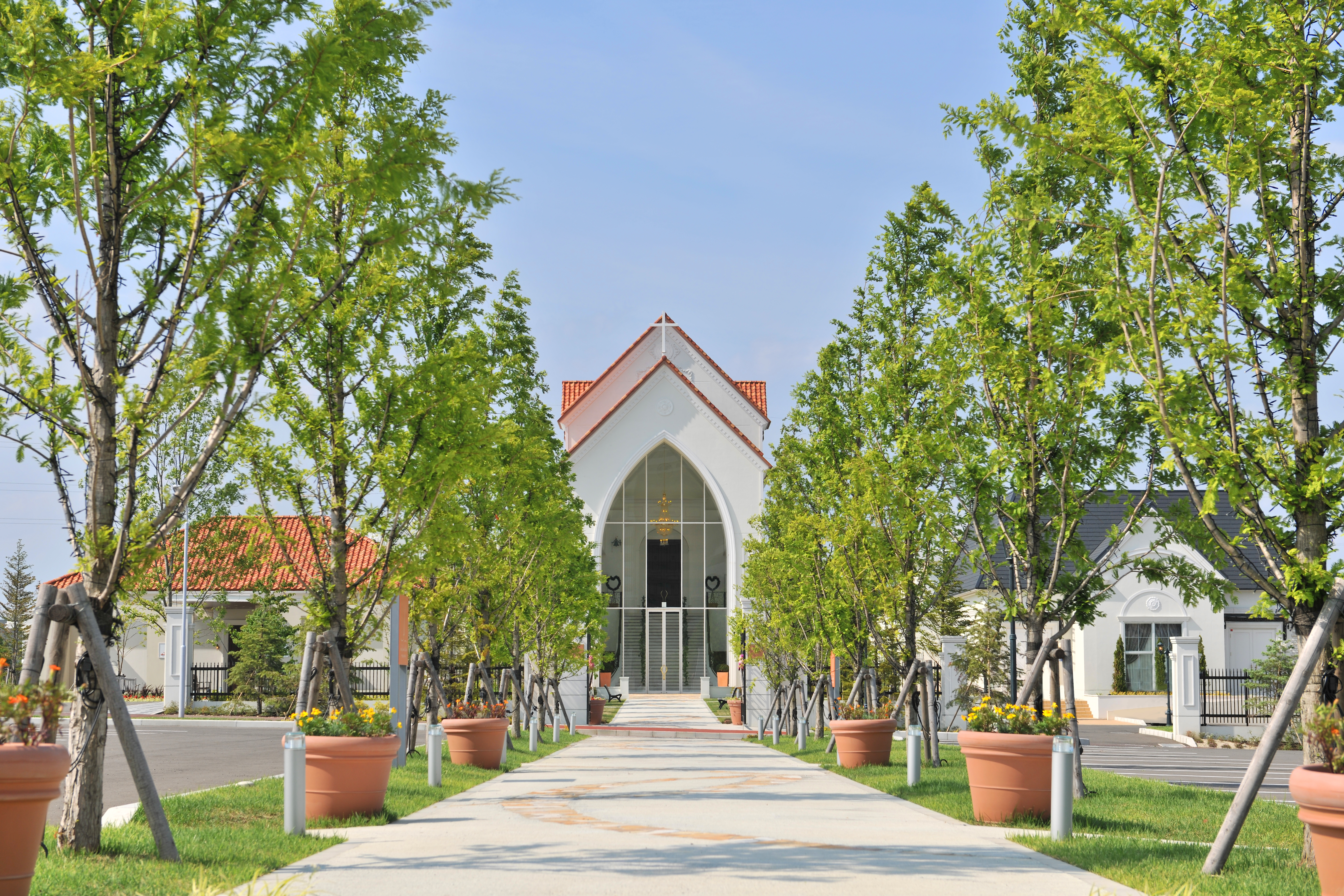 ララシャンスベルアミー
(盛岡)